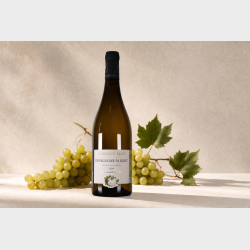 Aligot� fra Domaine Eloy