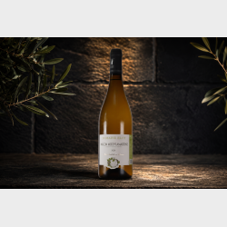 M�con-Milly-Lamartine fra Domaine Eloy 