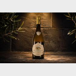 M�con-La Roche-Vineuse "�lev� en F�t de Ch�ne" 2022