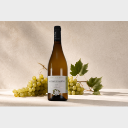M�con-Milly-Lamartine fra Domaine Eloy 