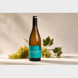 Montagny 1. Cru Les Bassets 2024