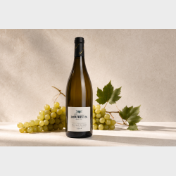Pouilly Fuiss� "Aux Vignes Dessus" 2024 fra Domaine Bourdon