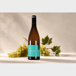 Pouilly Vinzelles "Les Quarts" 