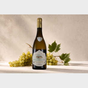 M�con-La Roche-Vineuse 