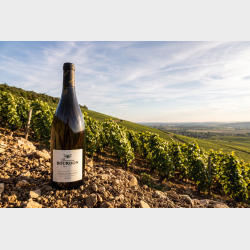 Pouilly Fuiss� "Aux Vignes Dessus" 2024 fra Domaine Bourdon