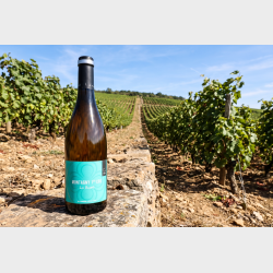 Montagny 1. Cru Les Bassets 2024