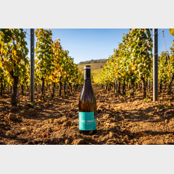 Pouilly Vinzelles "Les Quarts" 