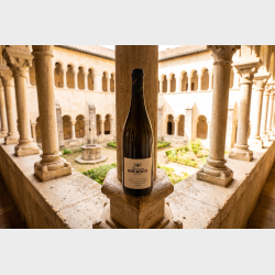 Pouilly Fuiss� "Aux Vignes Dessus" 2024 fra Domaine Bourdon