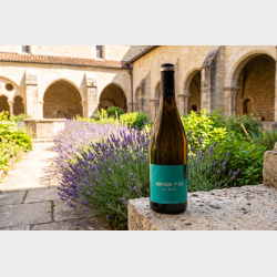 Montagny 1. Cru Les Bassets 2024