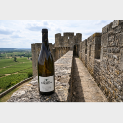 Pouilly Fuiss� "Aux Vignes Dessus" 2024 fra Domaine Bourdon