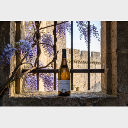 M�con-Milly-Lamartine fra Domaine Eloy 