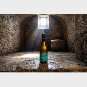 Montagny 1. Cru Les Bassets 2024
