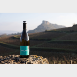 Pouilly Vinzelles "Les Quarts" 