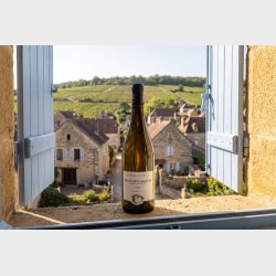 M�con-Milly-Lamartine fra Domaine Eloy 