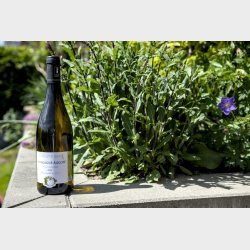 Aligot� fra Domaine Eloy