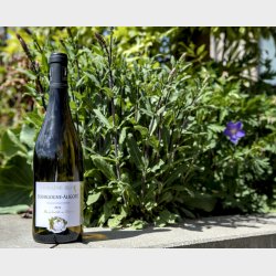 Aligot� fra Domaine Eloy