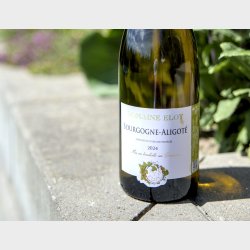 Aligot� fra Domaine Eloy