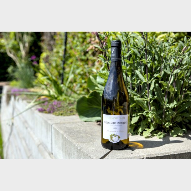 M�con-Milly-Lamartine fra Domaine Eloy 
