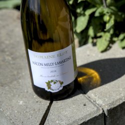 M�con-Milly-Lamartine fra Domaine Eloy 