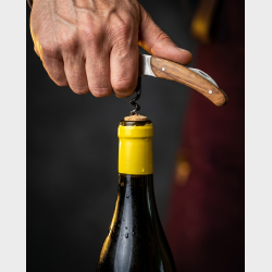 Pouilly Fuiss� Premier Cru 2024 Magnum 1,5L fra Domaine Bourdon